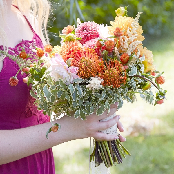 Dahlias