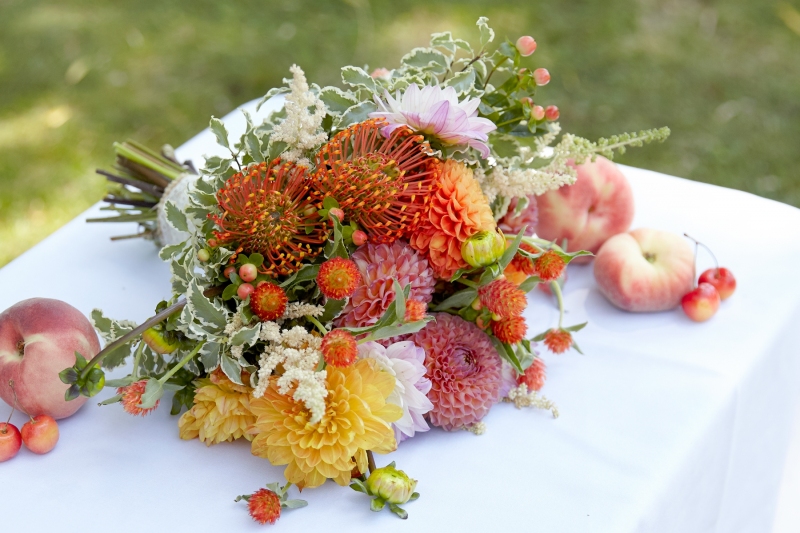 Dahlias