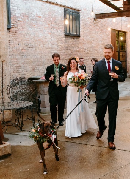 Dogs in weddings